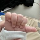 뚜리연구소 | 아기의 무한한 가능성을 믿고 존중하는 엄저스 제나 수면교육 멘토링 후기