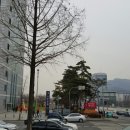 이리온 양재점 | 이리온 동물병원에 건강검진 다녀왔어요 !