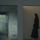 크리사비