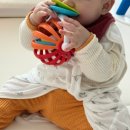 토이박스 | 스엔코 : 11월 토이박스 (오볼래틀카 • 고리친구들•탬버린 딸랑이 •테이블토이 •데이지치발기)