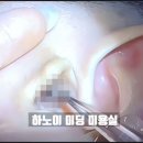 남녀커트염색