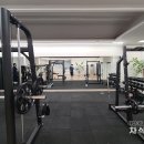 DTOS (디투스) 이미지