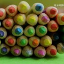 유성사랑나무