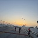 포화속으로 달리는 짐승들 이미지