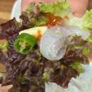 이까야 - 중구 반구동 | 부산 남포동 이까야 신선도 미쳤던 횟집 (내돈내산 후기)