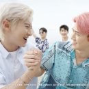 뉴카스 이미지