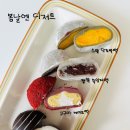 여수언니 봄날엔 디저트 초코퐁당 요거꿀떡 할매니얼 3종 시리즈 택배주문 내돈내산 후기