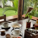 코끼리 동물약국 | 탄자니아 신혼여행 3 | 킬리만자로 마랑구루트 1일차