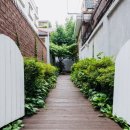 앨리스(Alleys) 이미지