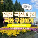 함평 엑스포공원 국향대전 이후 정상 운영 국화 관람 이미지