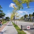 연기면_세종호수공원 제1주차장 이미지