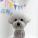 멍그라미 이발소 이미지