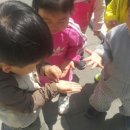 사랑해어린이집 이미지