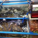 동진횟집 이미지