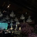 대들보 | W05. 로얄파크컨벤션 로얄홀 27년 계약 후기 (대들보 사라졌다!!!!)