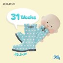 도우미실버케어 | 임신 31주 : 산후도우미 예약, 백일해주사, 임산부 운동화, 바치 bacci, 산전 필라테스, 그럼에도 육아
