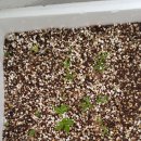 고은햇살 이미지