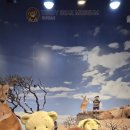 군산테디베어뮤지엄 이미지