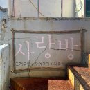 부산 영도 맛집 태종대 조개구이 포장마차 사랑방 내돈내산 솔직후기