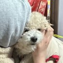 철길숲(학산동) 이미지