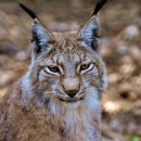 벅스 노래연습장 이미지