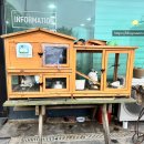 비치힐 뷰 이미지