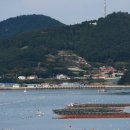 다시마주유소 이미지