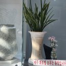 중산한의원 이미지