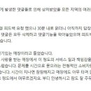 판) 광주는 폭동의 도시라고 한 홍대 옷가게 직원 이미지