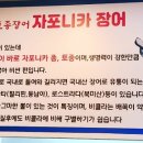 명문장어 이미지