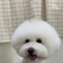 다녀오개습니다 네이버블로그