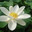 백년지기 이미지