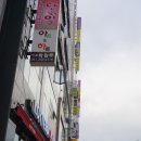 단미갤러리 이미지