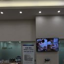 포인트병원 | 인천 포인트 동물병원 눈밑 용종 제거 수술 전 상담 후기