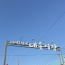 사당시장 | 일상) 강화 ‘대룡시장’&amp;사당 ‘월량’ 후기