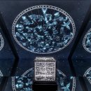 신 달토끼 이미지