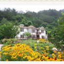 풀마루펜션 이미지