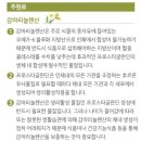 에스테라 이미지