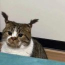 삶과 죽음의 경계