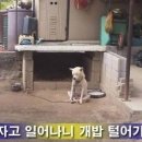 유모어