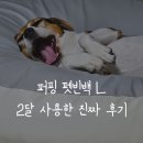 L-2 | 퍼핑 펫빈백 L 2달 사용 후기 강아지 방수 방석 고민 끝