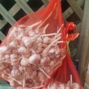 삼화농장 이미지