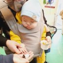 담양 아이와 가볼만한곳 작은동물원 미니동물원 플레이펫 반려견과 함께 내돈내산 후기