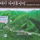 방태산 자연휴양림 캠핑장 이미지