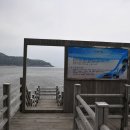 모항갯벌체험장