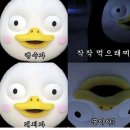 24핏앤(Fit &)점핑다이어트