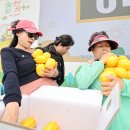 성주 이미지