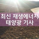 태양광 사업자 수익 2.6배 증가 정부, 전력판매가격 통제 추진 기사 이미지