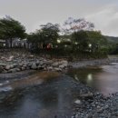 소호 숲 이미지