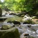 유선여관 이미지